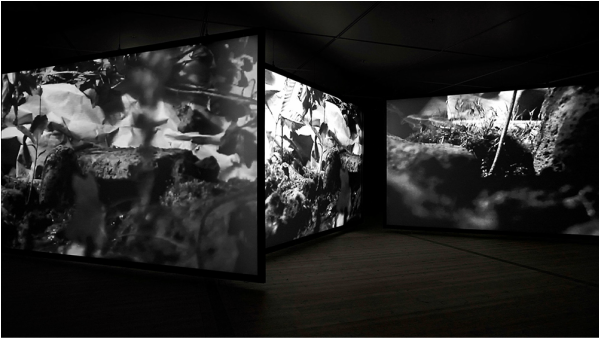 Gail Pickering | Baltic Exhibition | Near Real Time Installation
